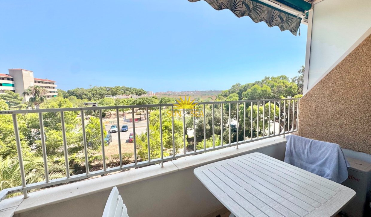 Long Term Rental - Apartment - Guardamar del Segura - Pinomar