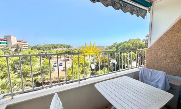 Long Term Rental - Apartment - Guardamar del Segura - Pinomar
