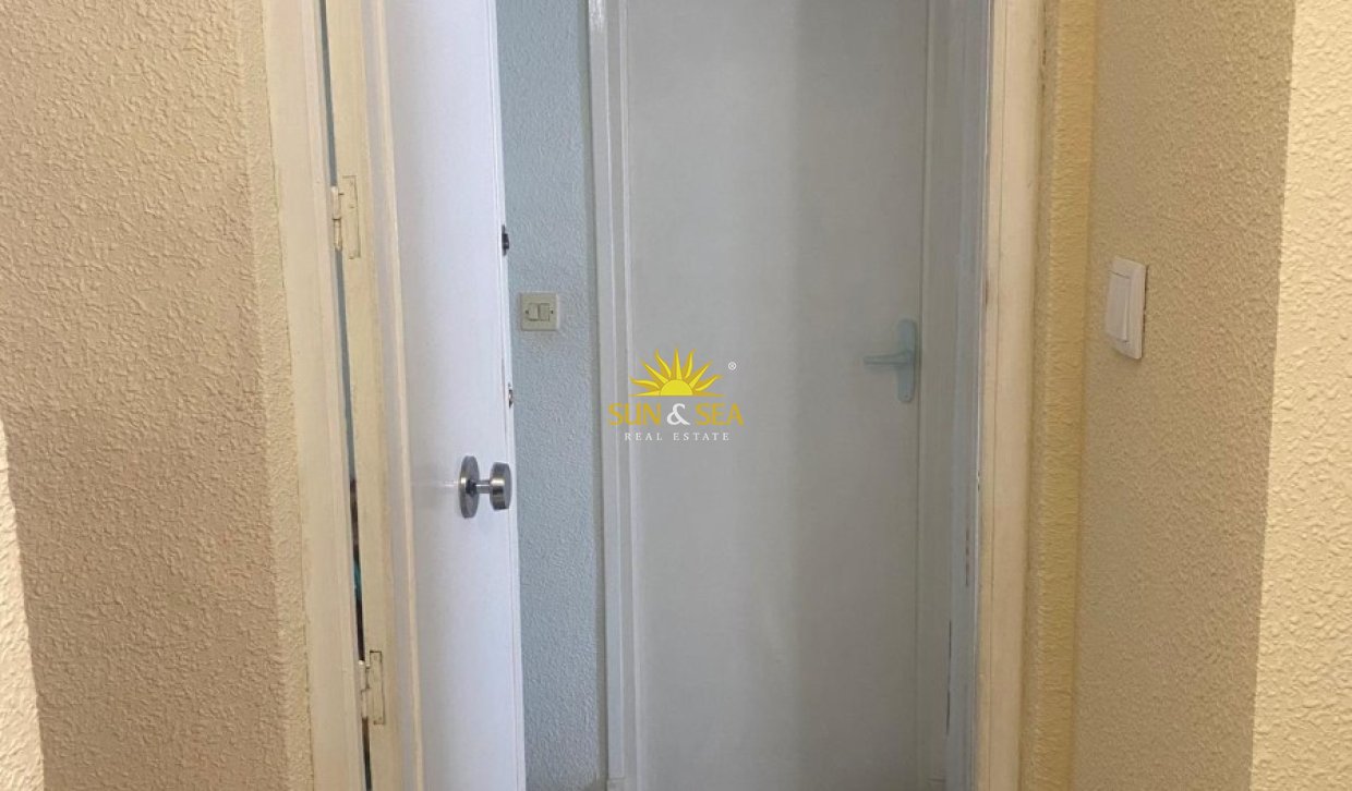 Location à long terme - Appartement - Torrevieja - torrevieja
