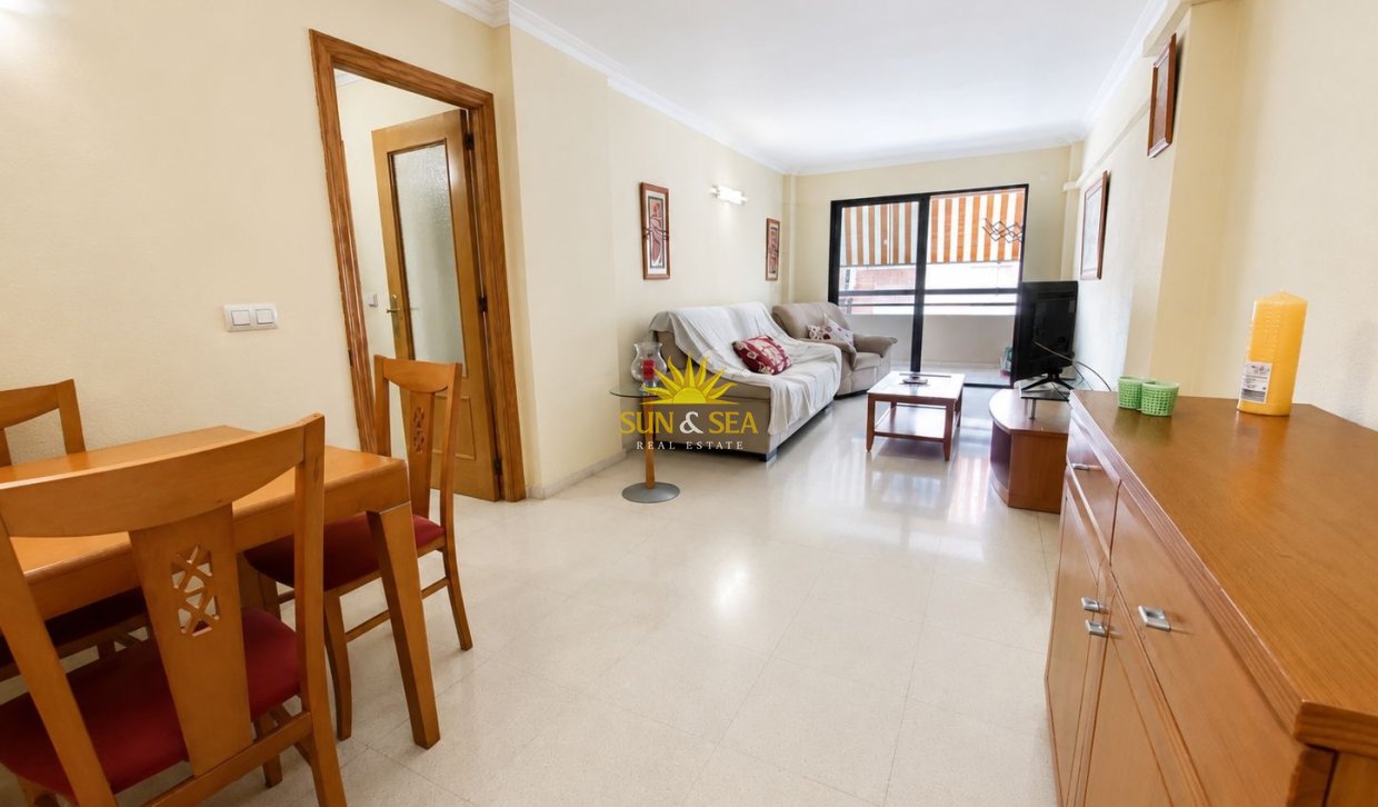 Winter rental - Apartment - Benidorm