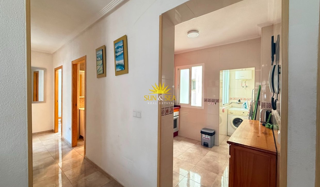 Alquiler a largo plazo - Apartamento - Torrevieja - torrevieja