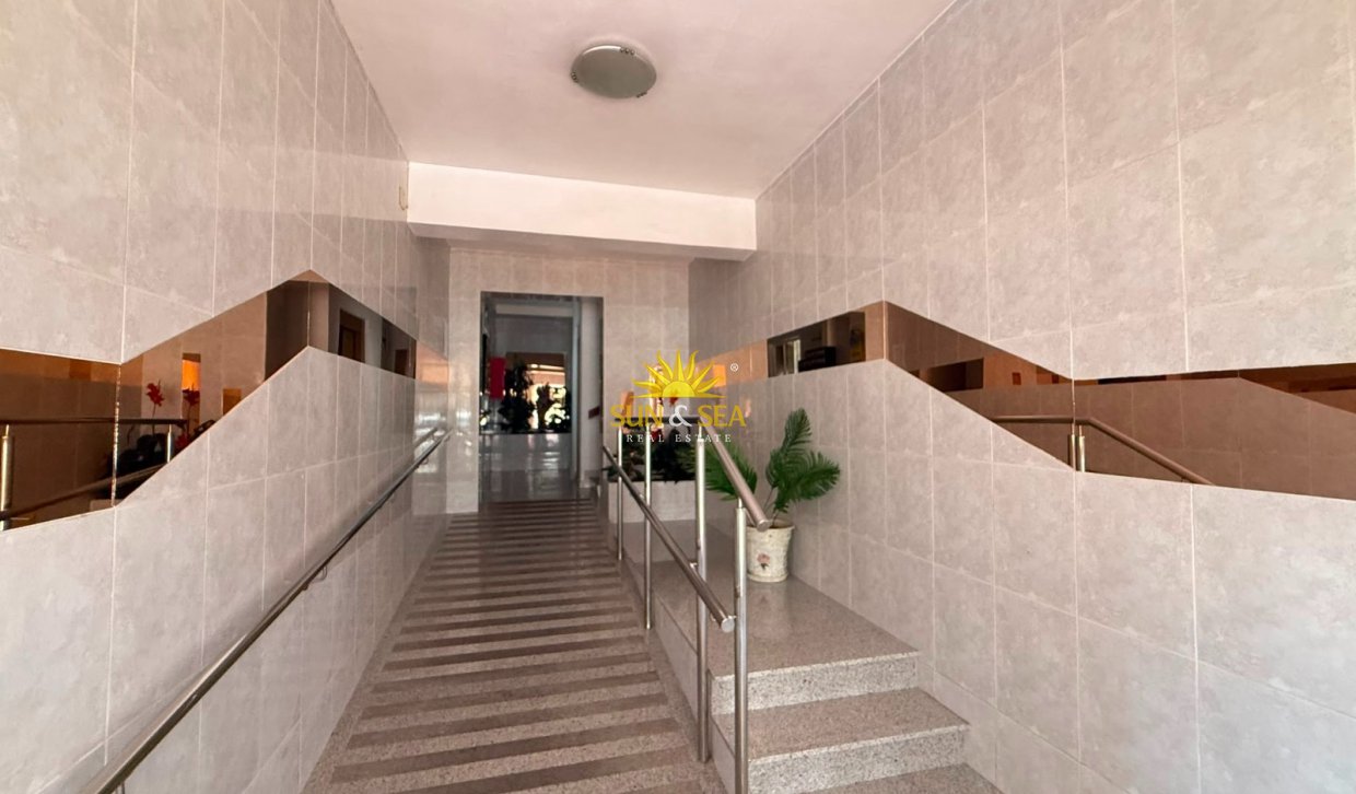 Alquiler a largo plazo - Apartamento - Torrevieja - torrevieja