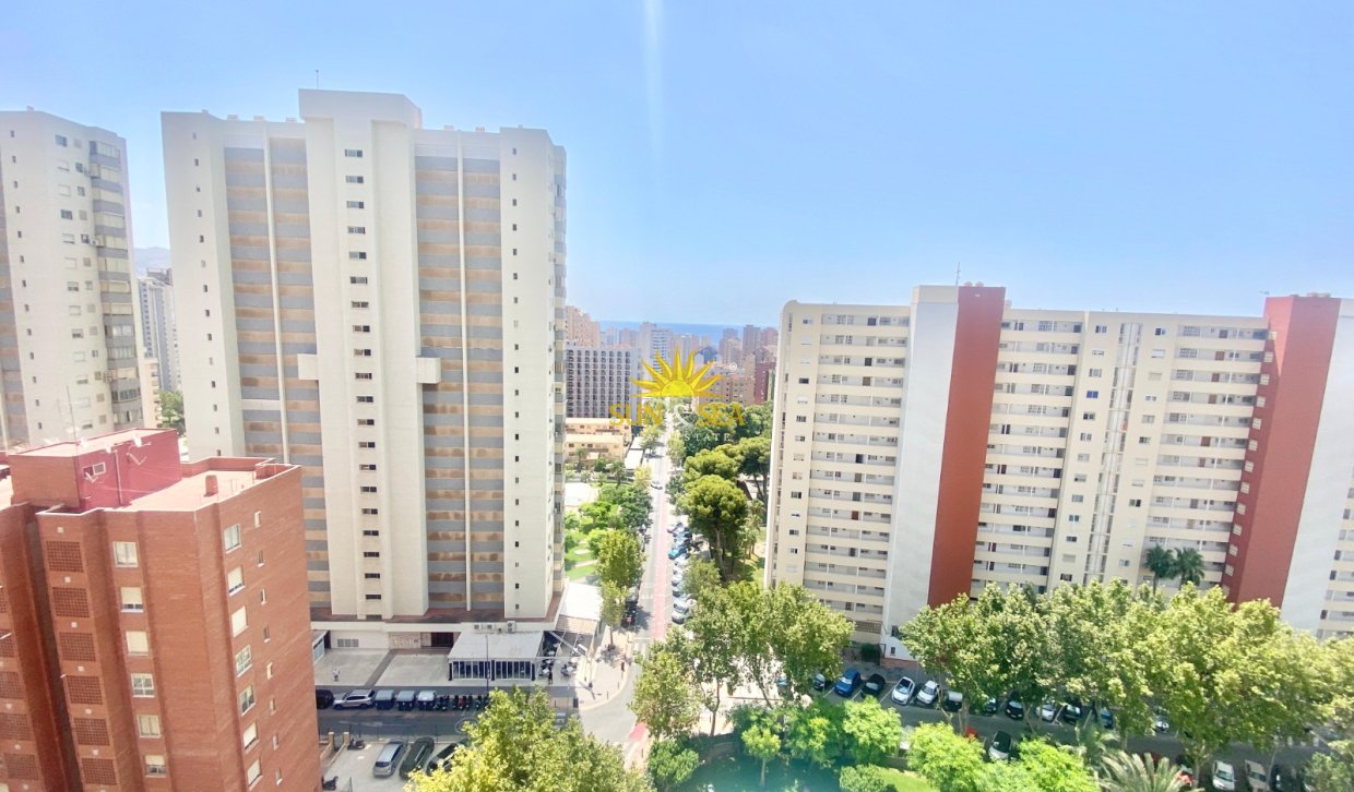 Location d’hiver - Appartement - Benidorm