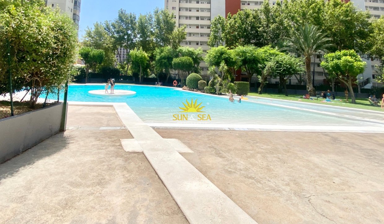Location d’hiver - Appartement - Benidorm