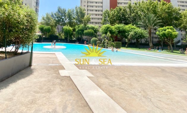 Location d’hiver - Appartement - Benidorm
