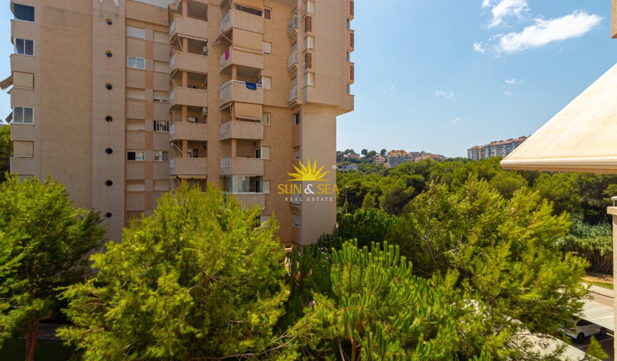 Revente - Appartement - Orihuela Costa - Campoamor