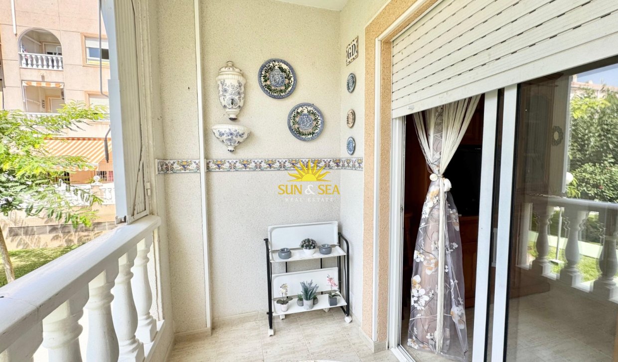 Alquiler a largo plazo - Apartamento - Torrevieja - torrevieja