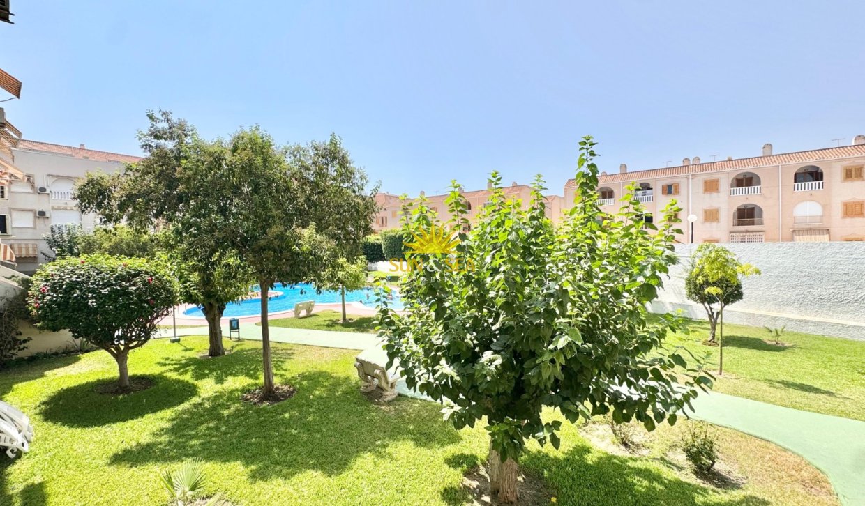 Alquiler a largo plazo - Apartamento - Torrevieja - torrevieja