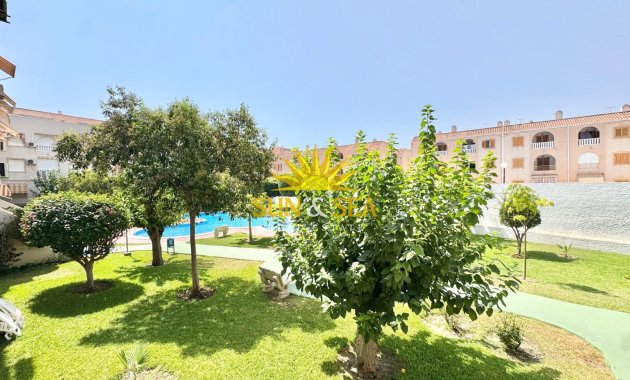 Alquiler a largo plazo - Apartamento - Torrevieja - torrevieja