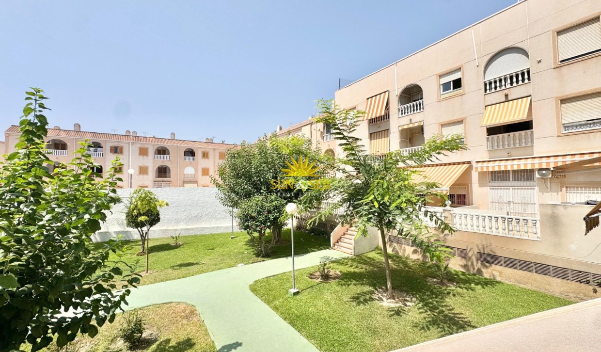 Alquiler a largo plazo - Apartamento - Torrevieja - torrevieja