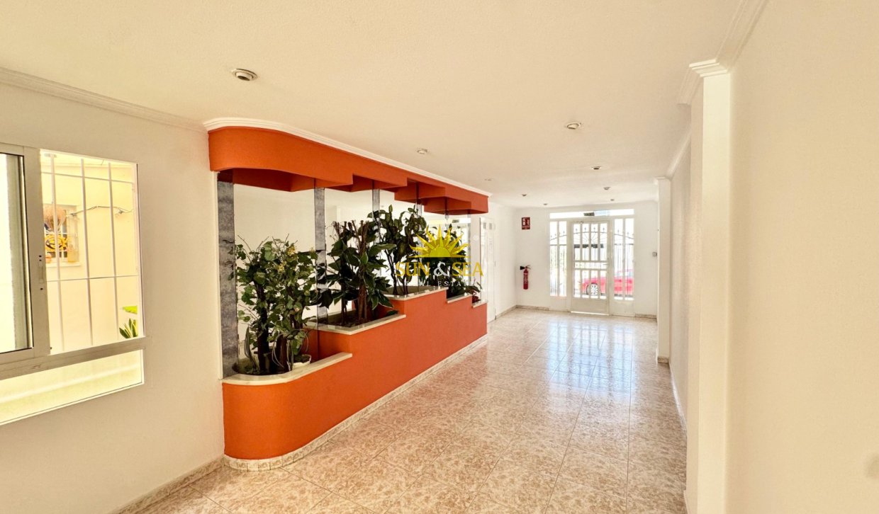 Alquiler a largo plazo - Apartamento - Torrevieja - torrevieja