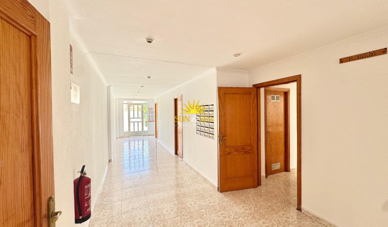 Alquiler a largo plazo - Apartamento - Torrevieja - torrevieja