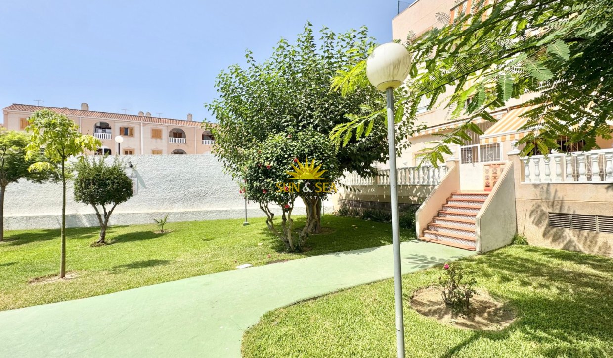 Alquiler a largo plazo - Apartamento - Torrevieja - torrevieja