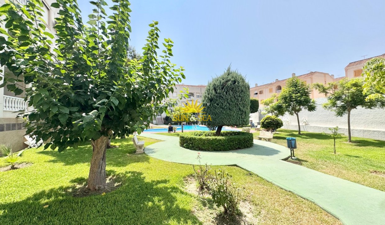 Alquiler a largo plazo - Apartamento - Torrevieja - torrevieja