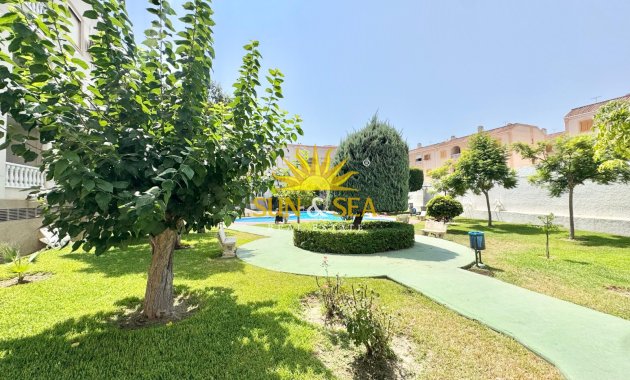Alquiler a largo plazo - Apartamento - Torrevieja - torrevieja