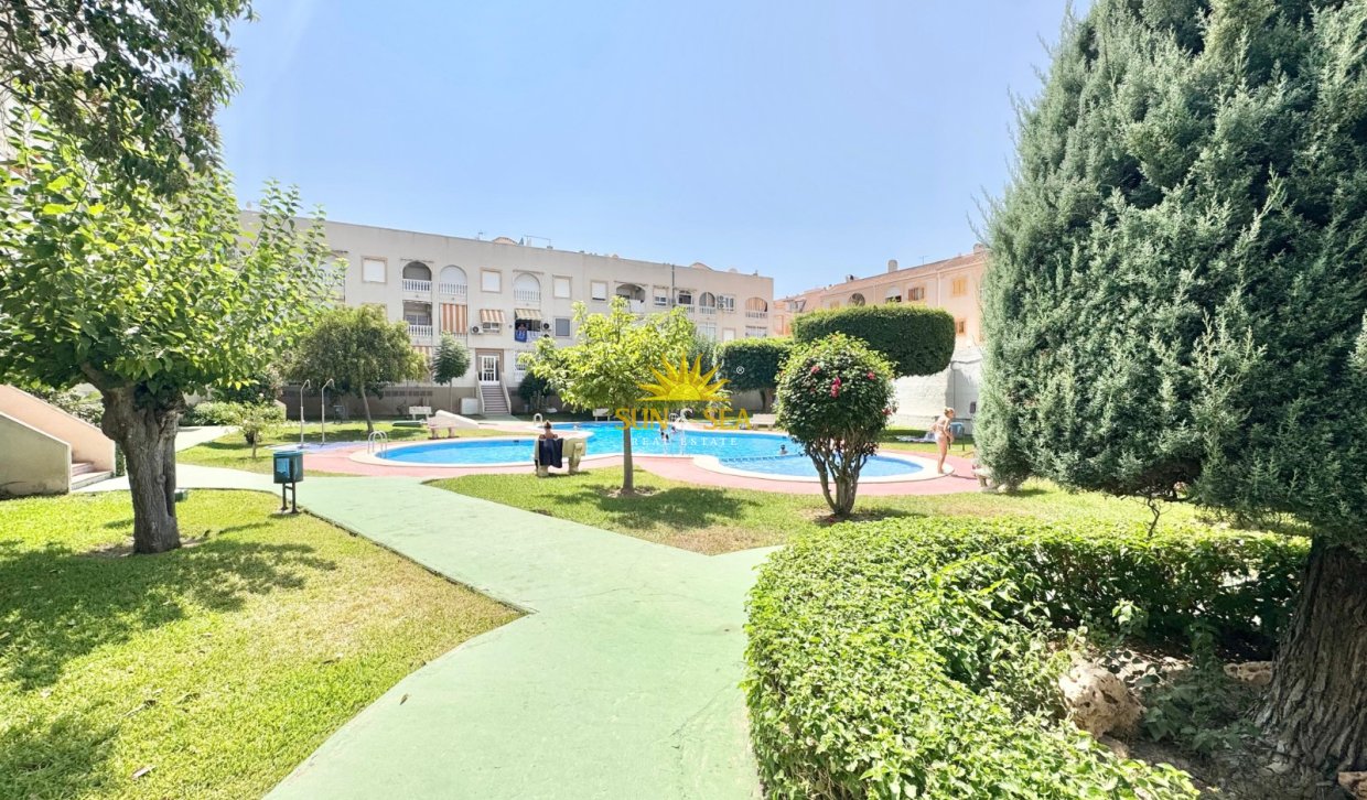 Alquiler a largo plazo - Apartamento - Torrevieja - torrevieja