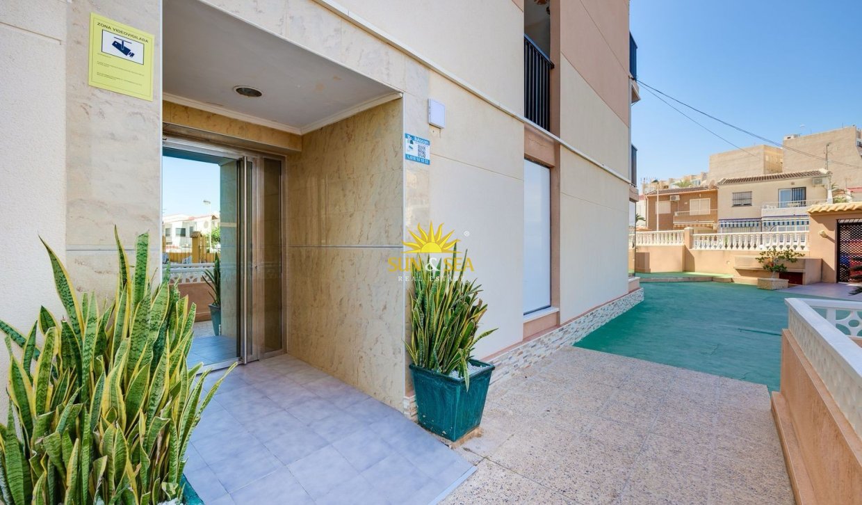 Alquiler a largo plazo - Apartamento - Torrevieja - torrevieja