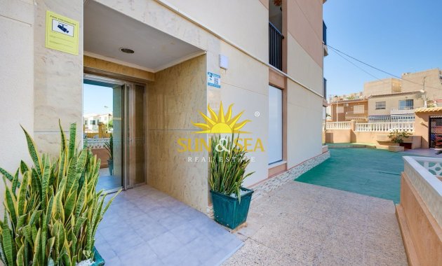 Alquiler a largo plazo - Apartamento - Torrevieja - torrevieja
