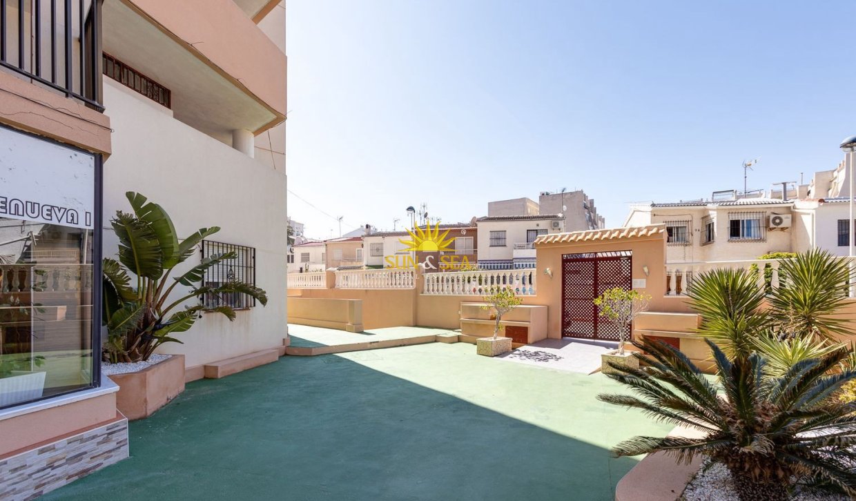 Alquiler a largo plazo - Apartamento - Torrevieja - torrevieja