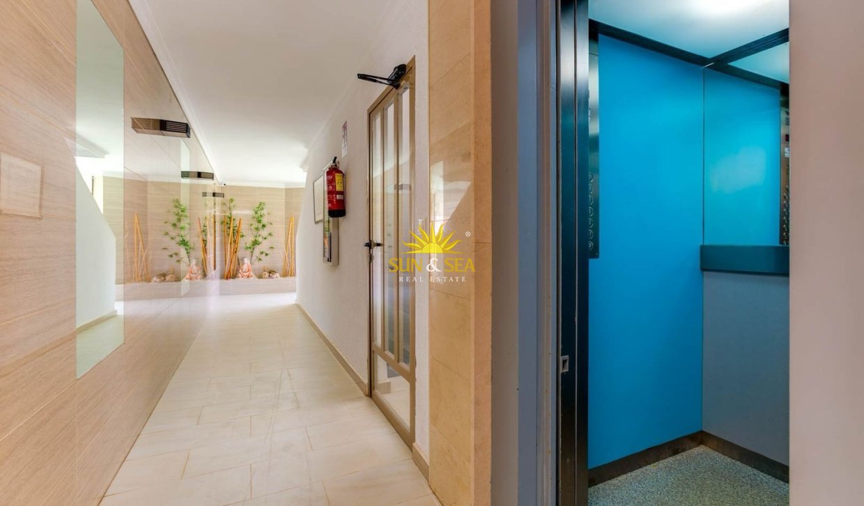 Alquiler a largo plazo - Apartamento - Torrevieja - torrevieja