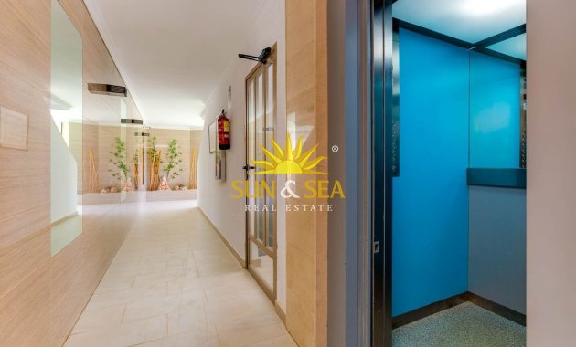 Alquiler a largo plazo - Apartamento - Torrevieja - torrevieja