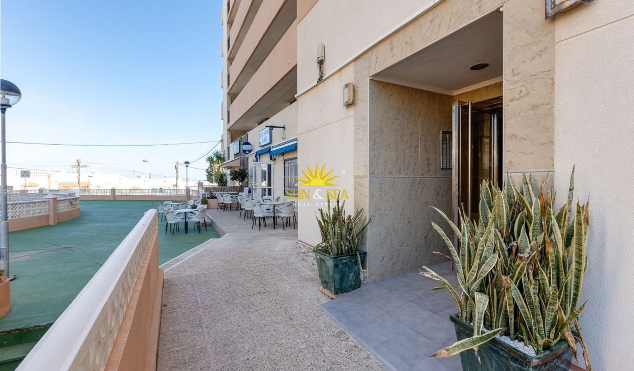 Alquiler a largo plazo - Apartamento - Torrevieja - torrevieja