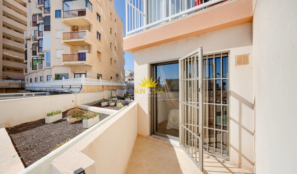 Alquiler a largo plazo - Apartamento - Torrevieja - torrevieja