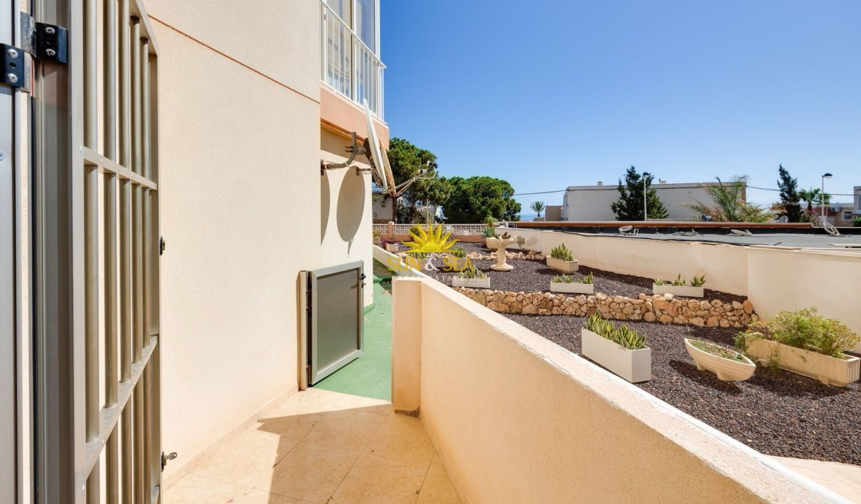 Alquiler a largo plazo - Apartamento - Torrevieja - torrevieja