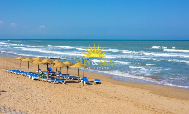 Alquiler a largo plazo - Apartamento - Torrevieja - torrevieja