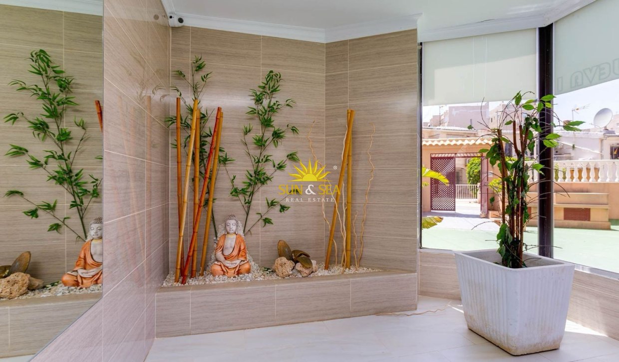 Alquiler a largo plazo - Apartamento - Torrevieja - torrevieja