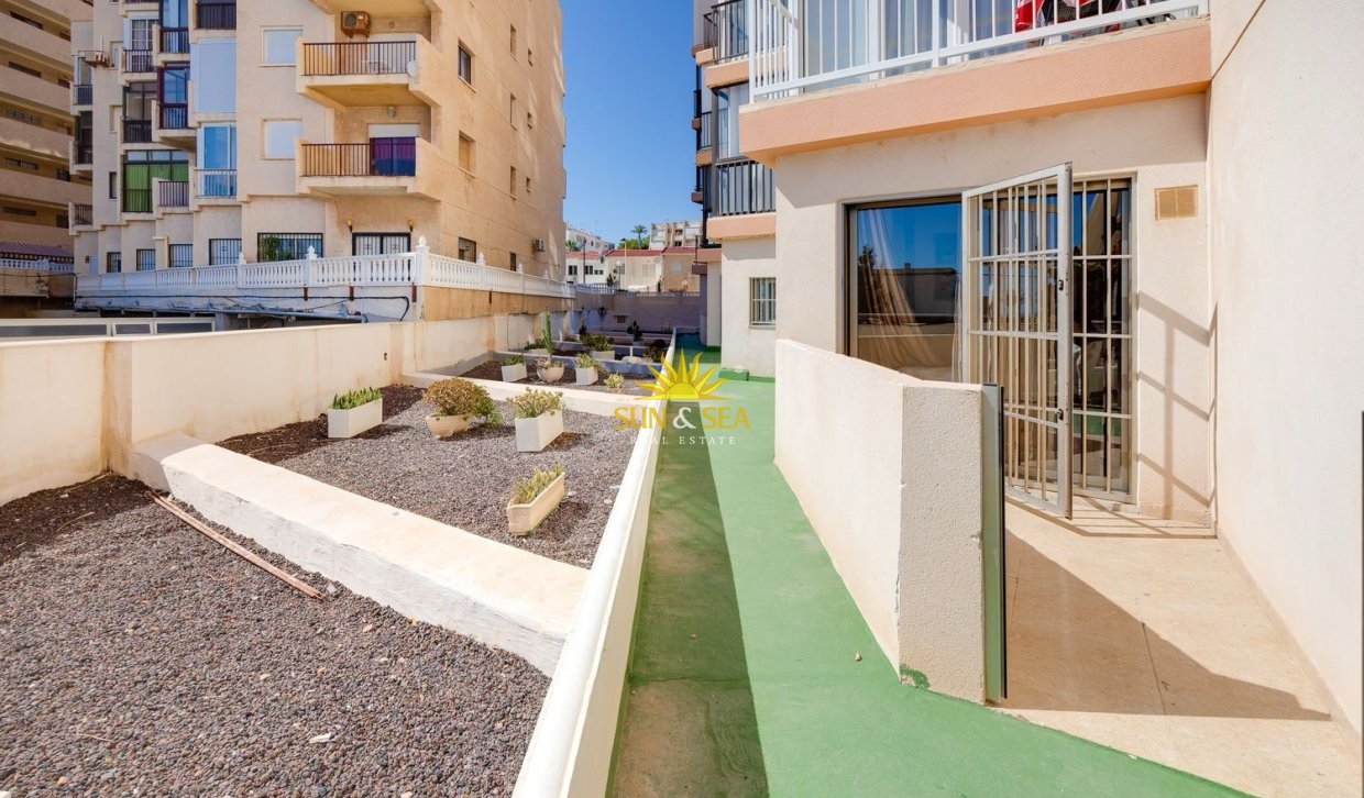 Alquiler a largo plazo - Apartamento - Torrevieja - torrevieja