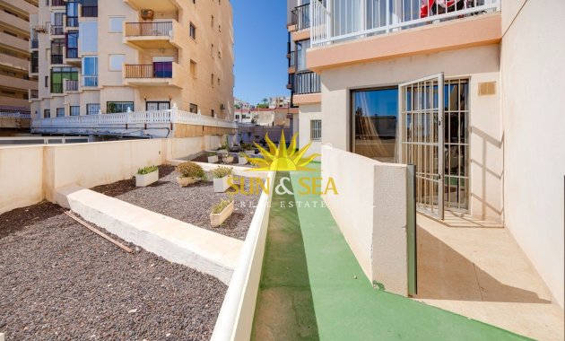 Alquiler a largo plazo - Apartamento - Torrevieja - torrevieja