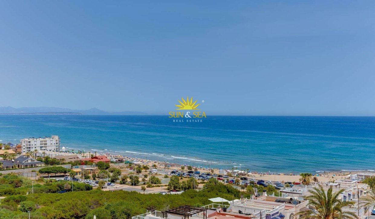 Alquiler a largo plazo - Apartamento - Torrevieja - torrevieja