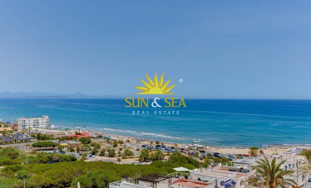Alquiler a largo plazo - Apartamento - Torrevieja - torrevieja