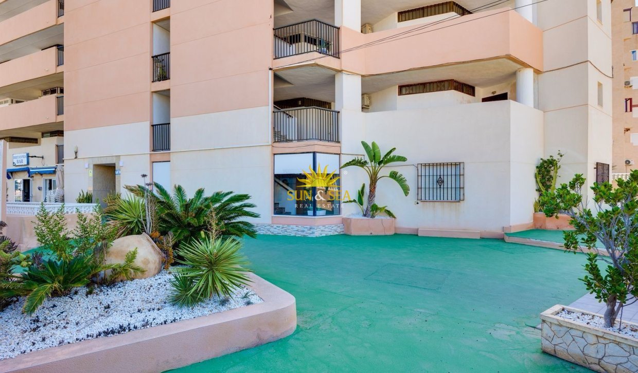 Alquiler a largo plazo - Apartamento - Torrevieja - torrevieja