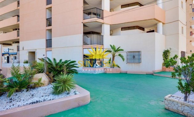 Alquiler a largo plazo - Apartamento - Torrevieja - torrevieja