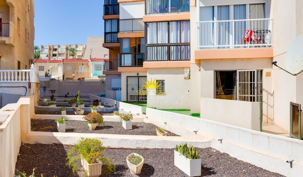 Alquiler a largo plazo - Apartamento - Torrevieja - torrevieja