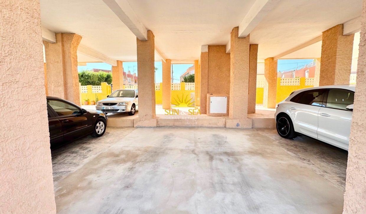 Kurzzeit-Vermietung - Wohnung - Torrevieja - torrevieja