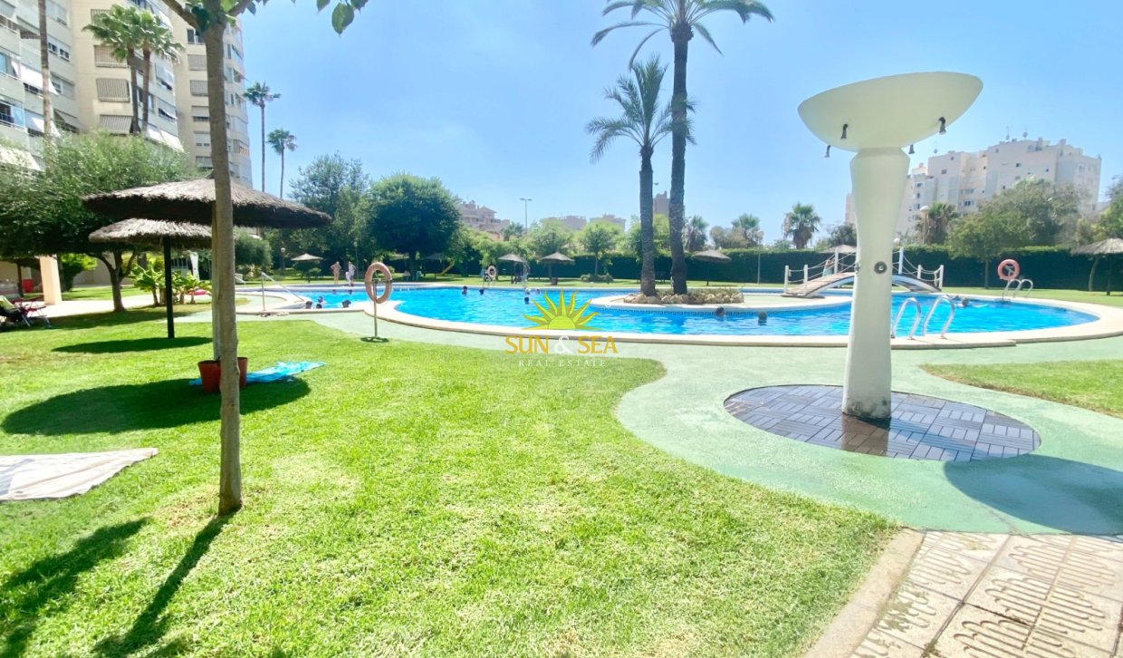 Kurzzeit-Vermietung - Wohnung - Alicante (Alacant)