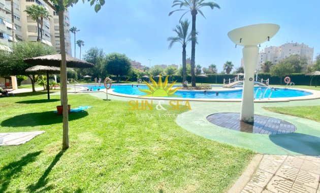 Kurzzeit-Vermietung - Wohnung - Alicante (Alacant)