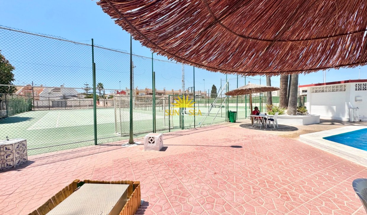 Kurzzeit-Vermietung - Wohnung - Torrevieja - torrevieja