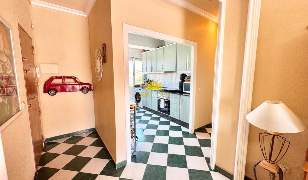 Kurzzeit-Vermietung - Wohnung - Torrevieja - torrevieja