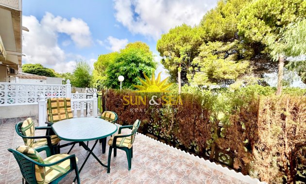 Winter rental - Townhouse - Torrevieja - torrevieja