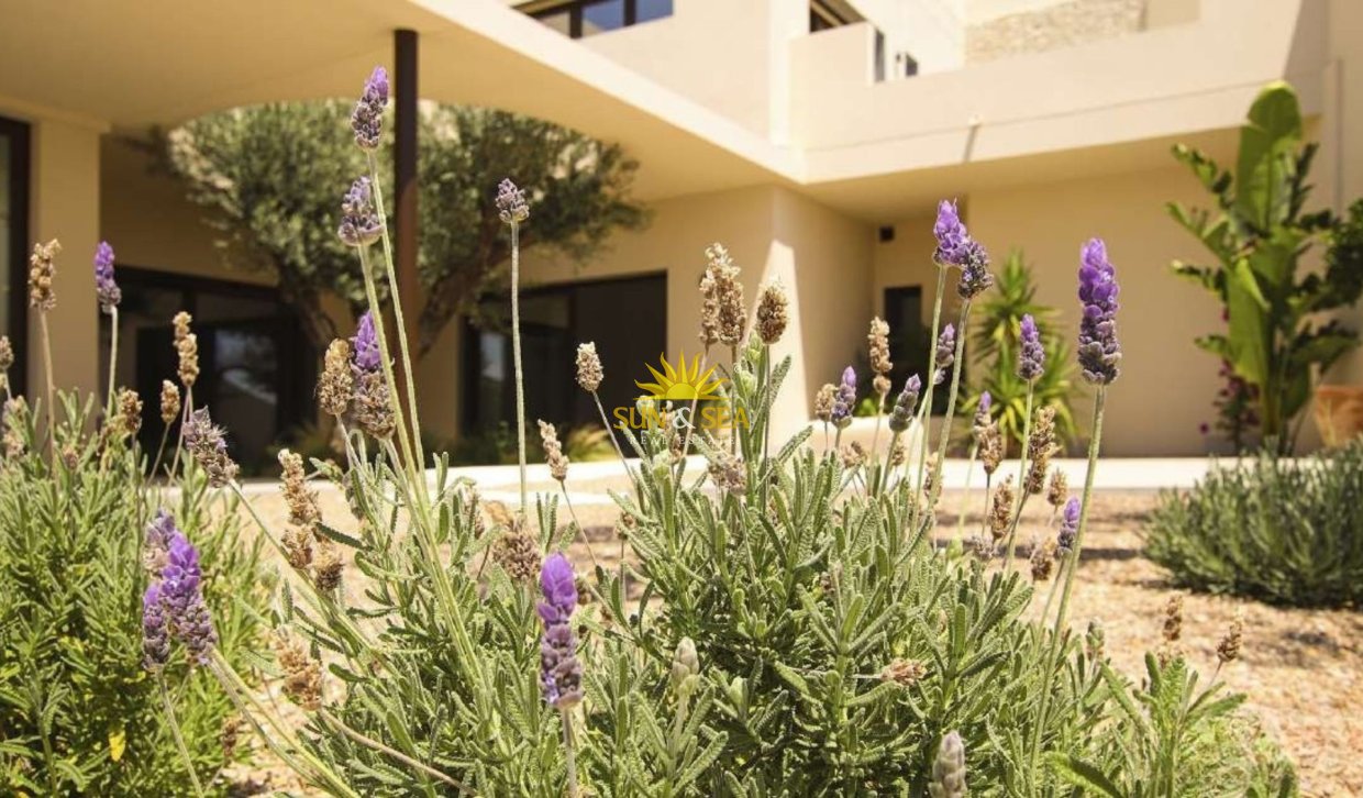 New Build - Villa - La marina - La Marina