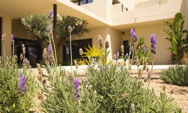 New Build - Villa - La marina - La Marina