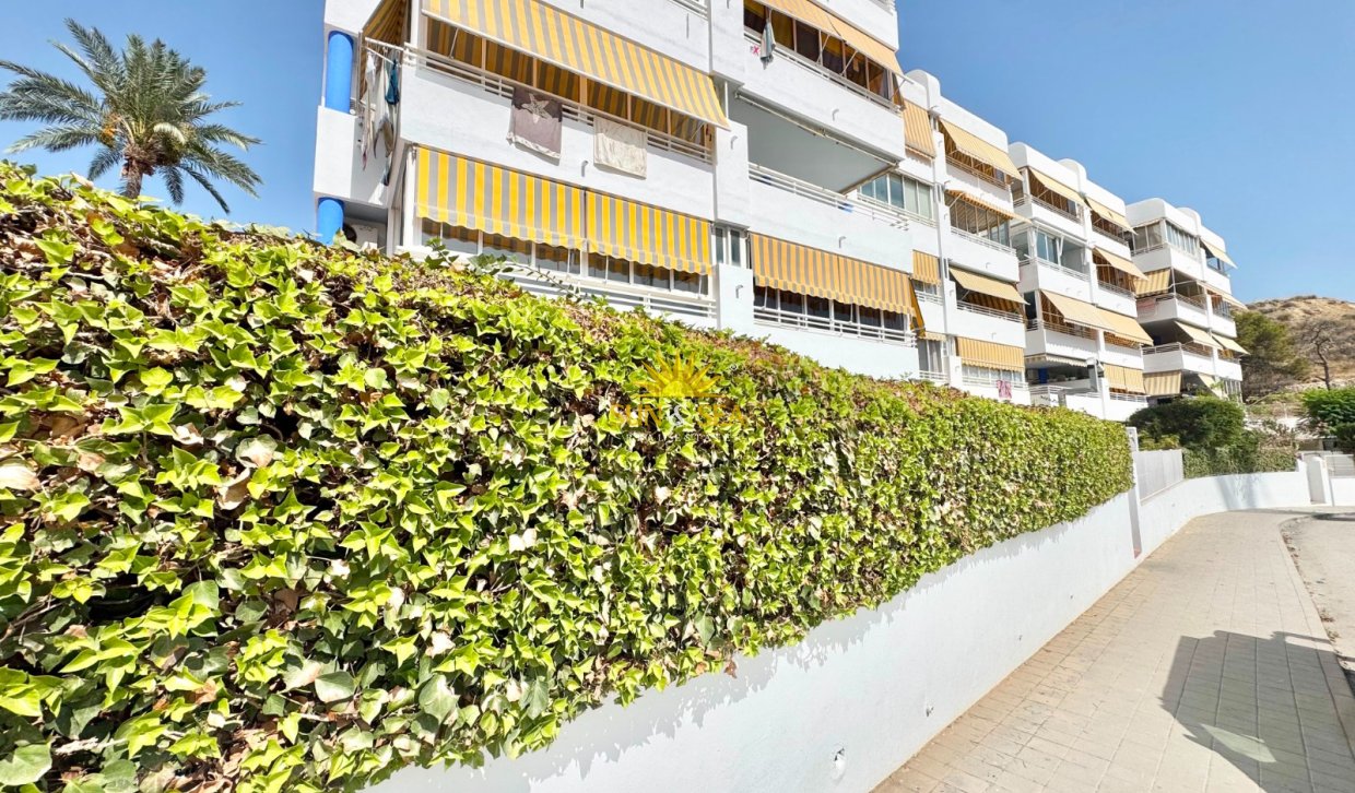 Alquiler a largo plazo - Apartamento - Villajoyosa