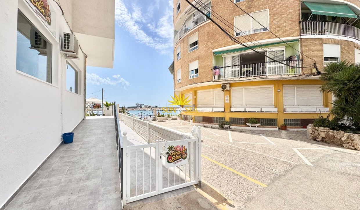 Winter rental - Apartment - Torrevieja - torrevieja