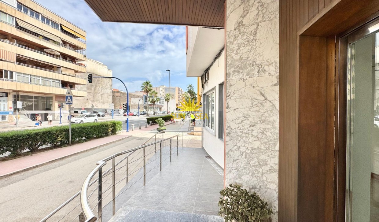 Winter rental - Apartment - Torrevieja - torrevieja