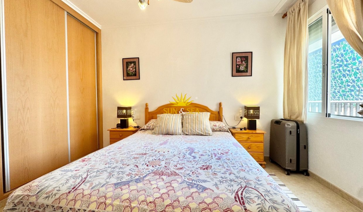 Winter rental - Apartment - Torrevieja - torrevieja