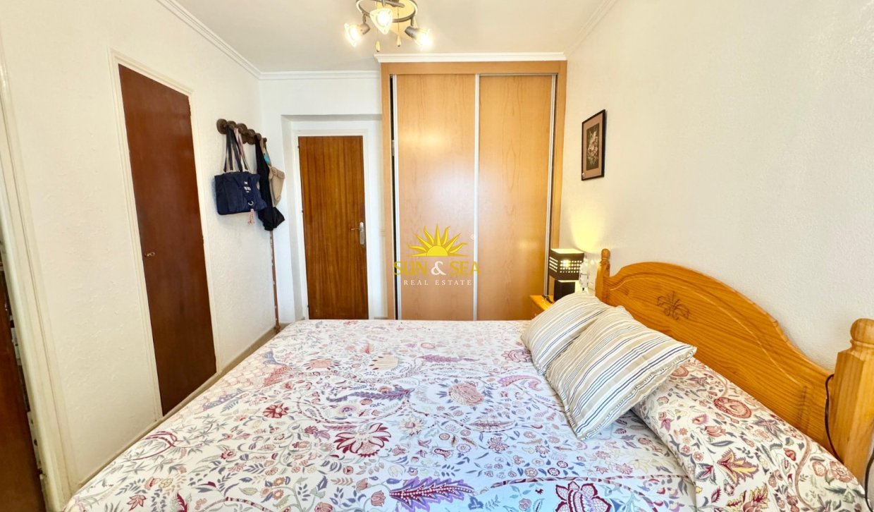 Winter rental - Apartment - Torrevieja - torrevieja